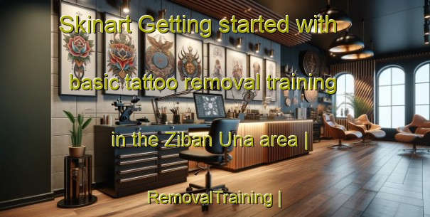 Skinart Getting started with basic tattoo removal training in the Ziban Una area | RemovalTraining | RemovalClasses | SkinartTraining-Eritrea
